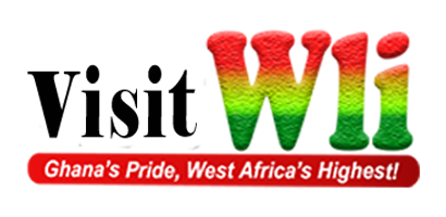 Wli Waterfalls Logo